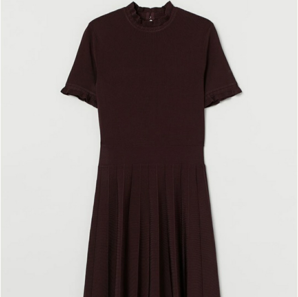 NWOT H&M Pleated-Skirt Dress